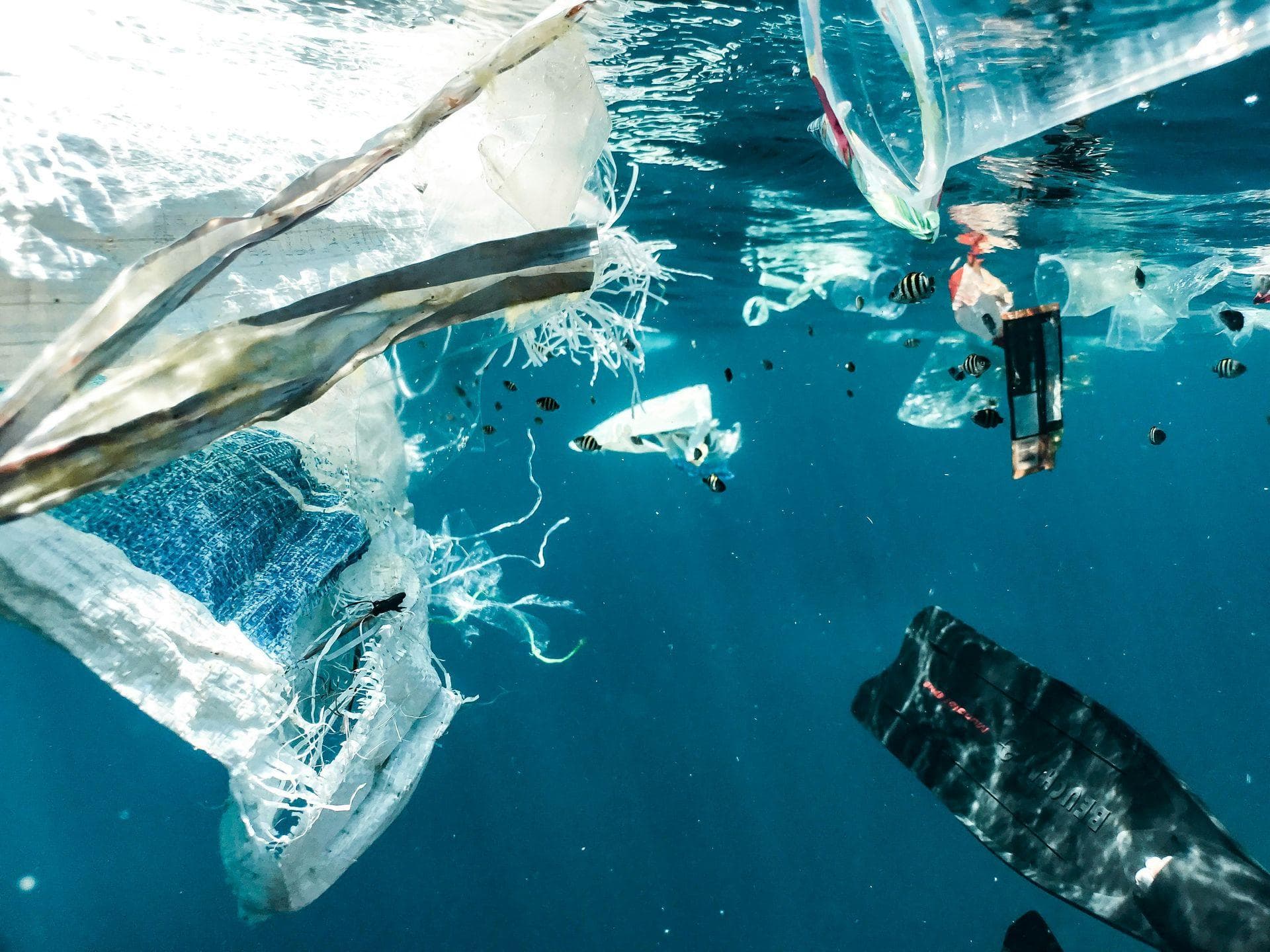 Plastic waste and textile fibres underwater